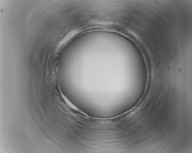 X0000052541354200507291840