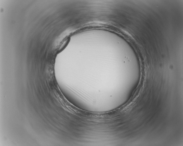 X0000052541355200507291840