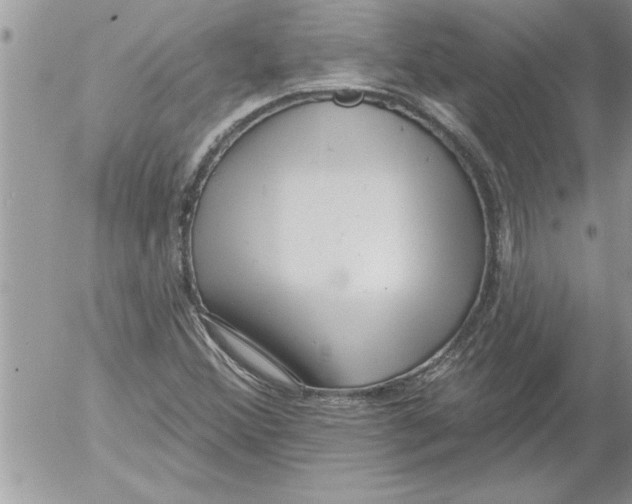 X0000052541356200507291840