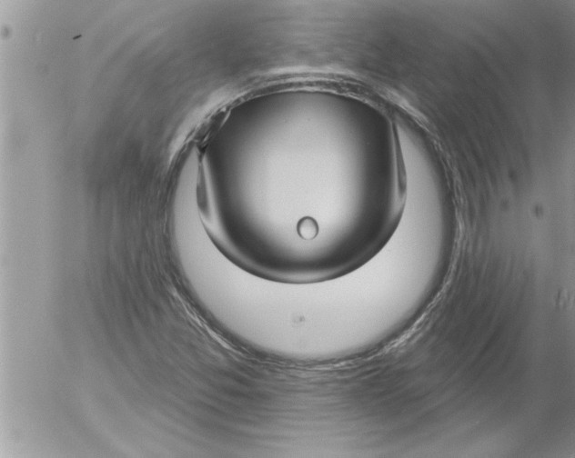 X0000052541357200507291840