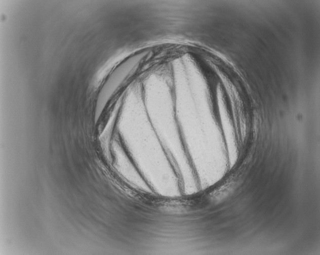 X0000052541359200507291840