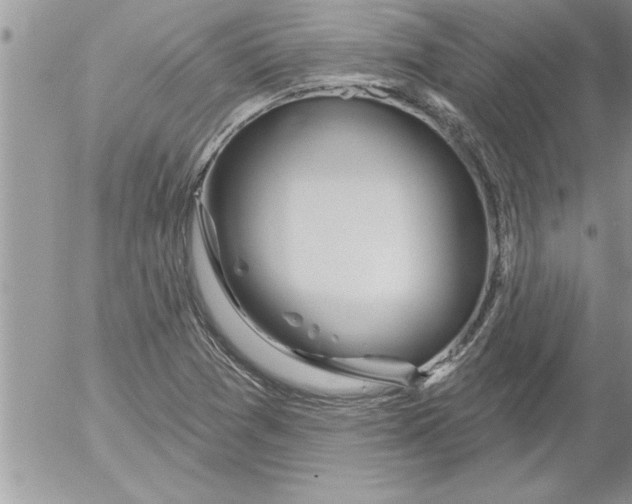 X0000052541361200507291840