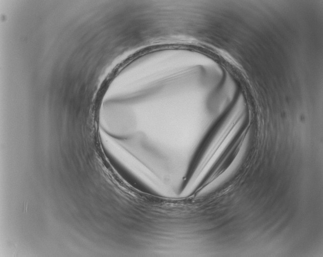 X0000052541364200507291840