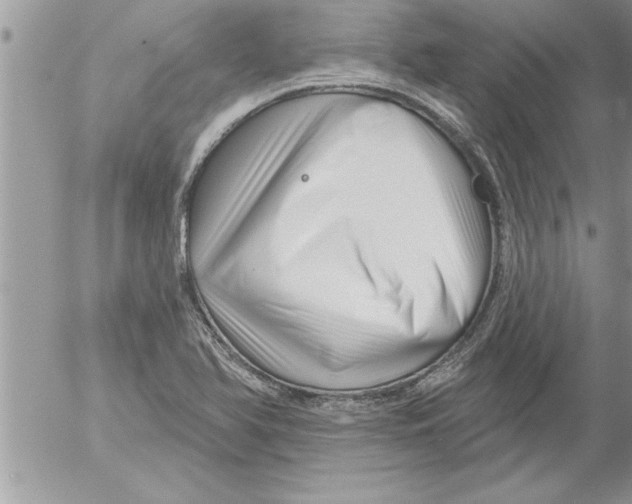 X0000052541366200507291840