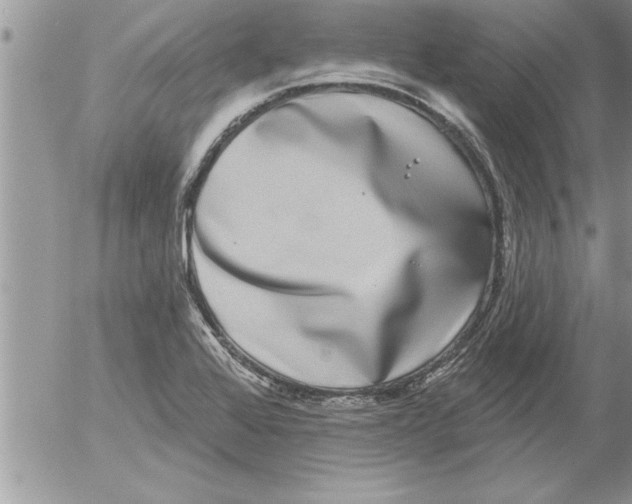 X0000052541368200507291839