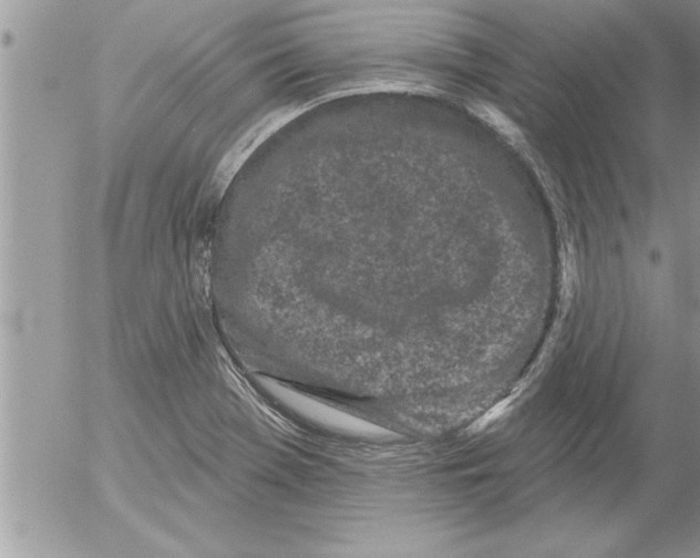 X0000052541369200507291839