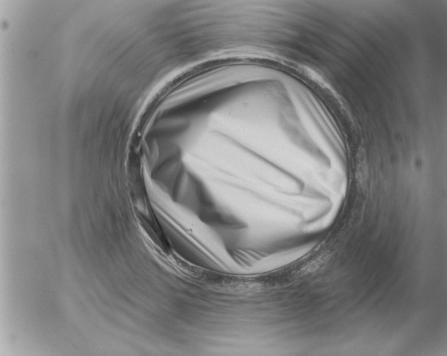 X0000052541372200507291839