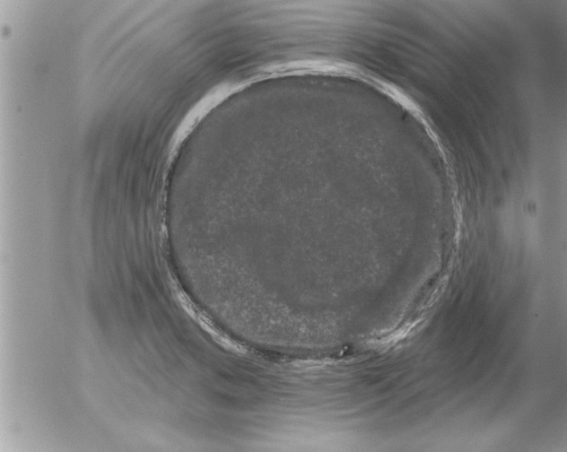 X0000052541373200507291839