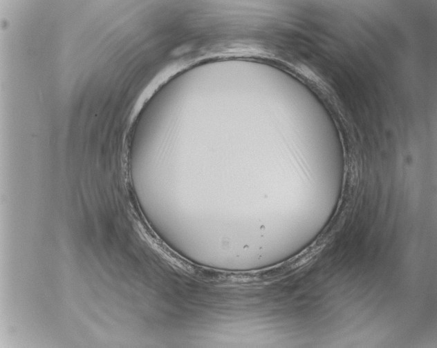 X0000052541374200507291839