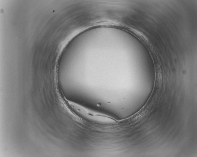 X0000052541375200507291839