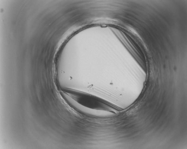 X0000052541376200507291839