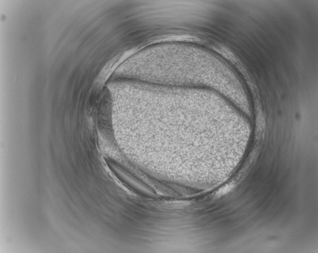 X0000052541377200507291839