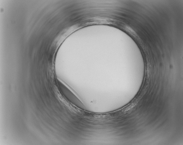 X0000052541378200507291839