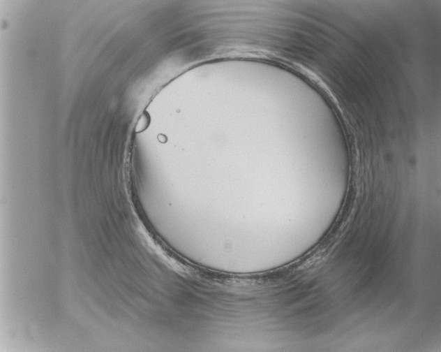 X0000052541379200507291839