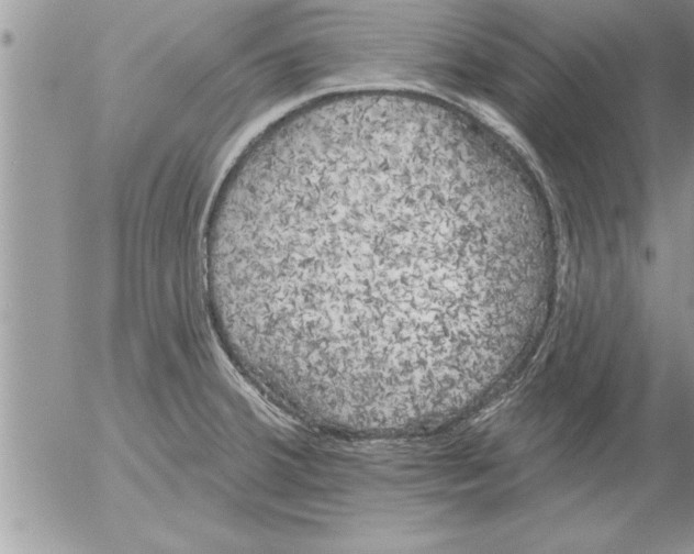 X0000052541380200507291839