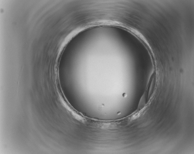 X0000052541381200507291839