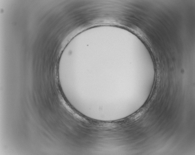 X0000052541382200507291839