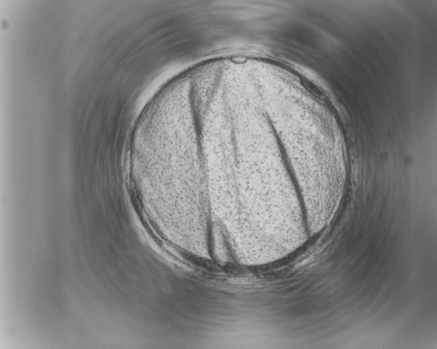 X0000052541383200507291839