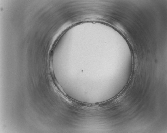 X0000052541384200507291839