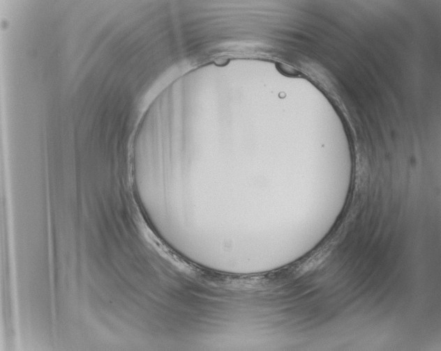 X0000052541386200507291839