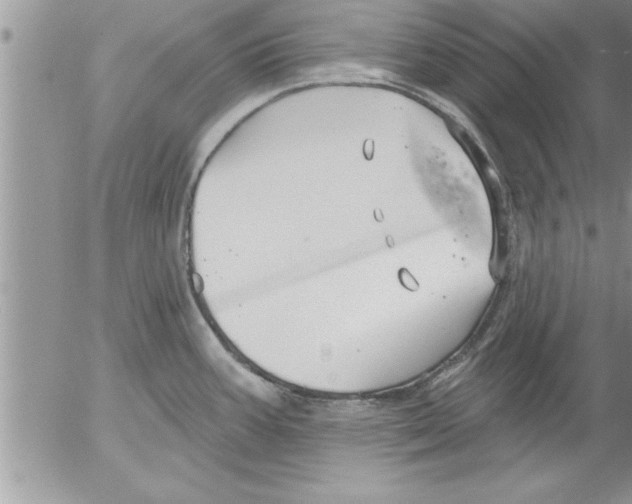 X0000052541387200507291839