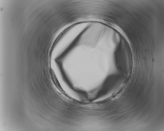 X0000052541388200507291839