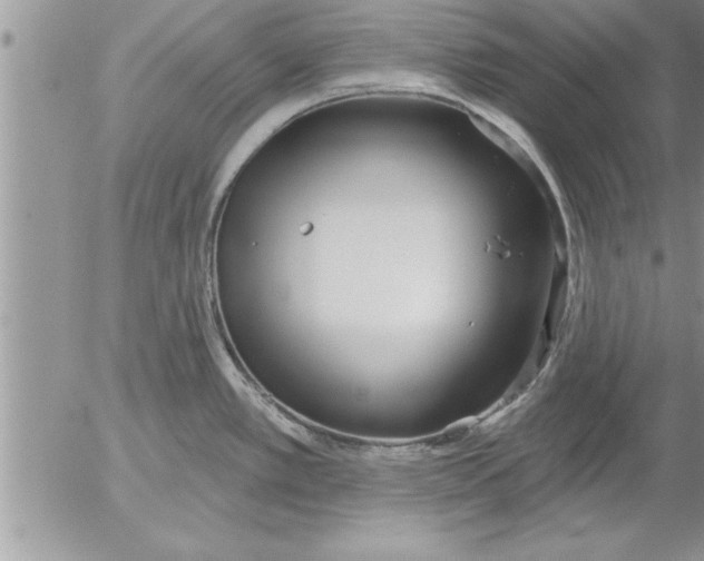 X0000052541389200507291839