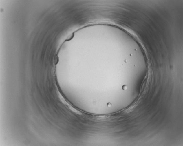 X0000052541390200507291839