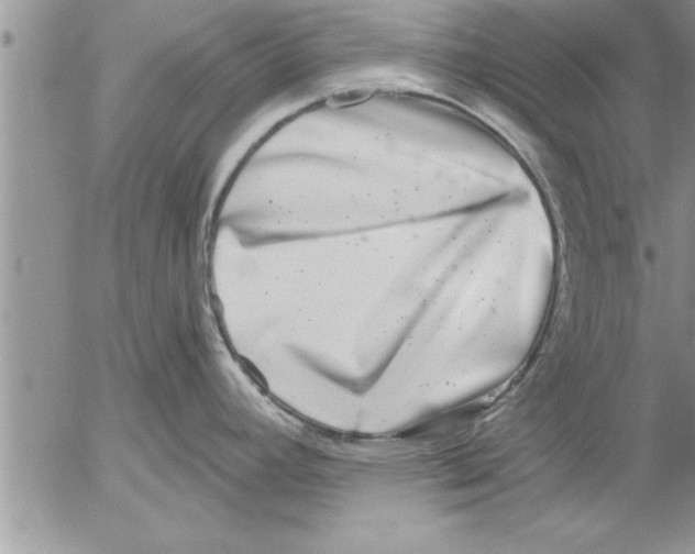 X0000052541392200507291839