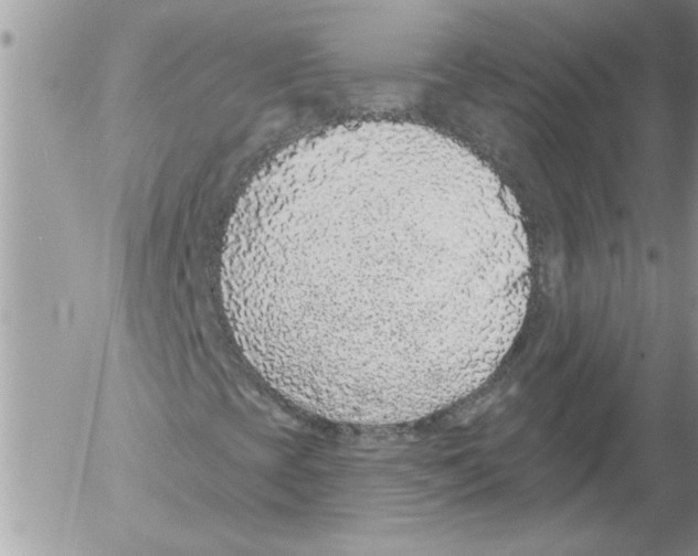 X0000052541393200507291838