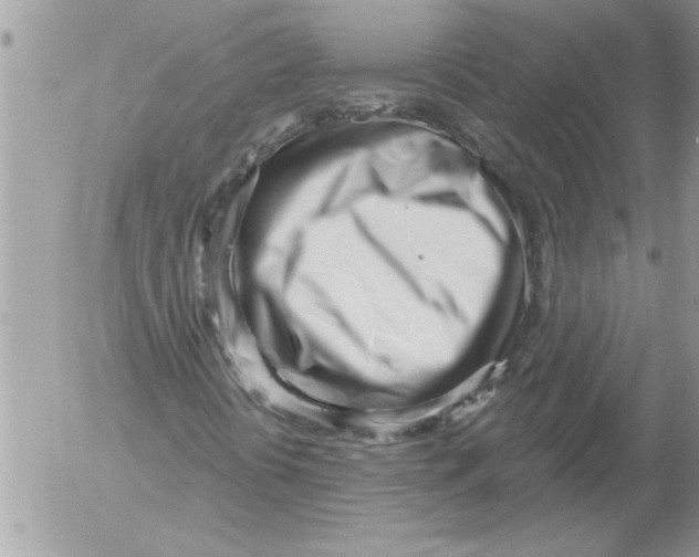 X0000052541394200507291838