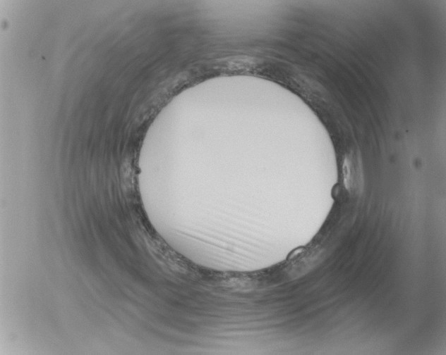 X0000052541395200507291838