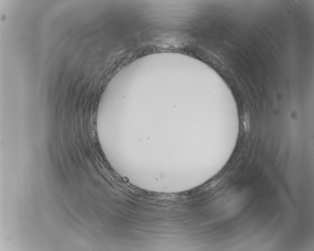 X0000052541396200507291838