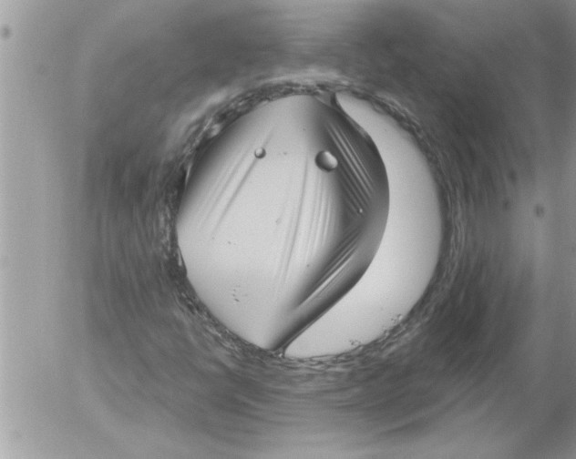 X0000052541398200507291838