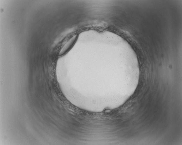 X0000052541399200507291838