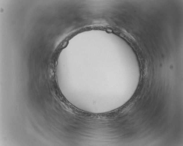 X0000052541400200507291838