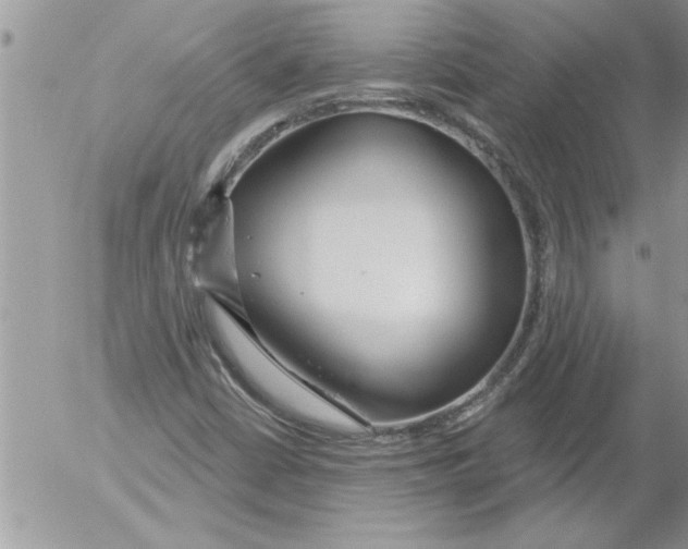 X0000052541402200507291838