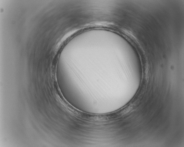 X0000052541404200507291838