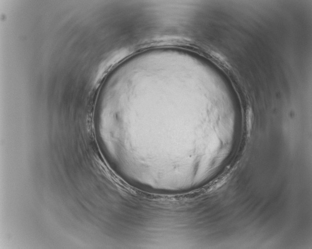 X0000052541405200507291838