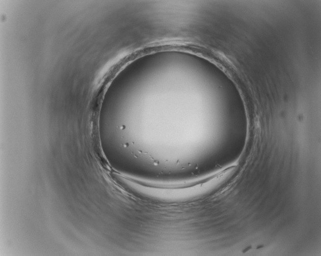 X0000052541406200507291839