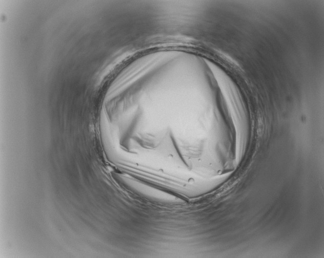 X0000052541407200507291839