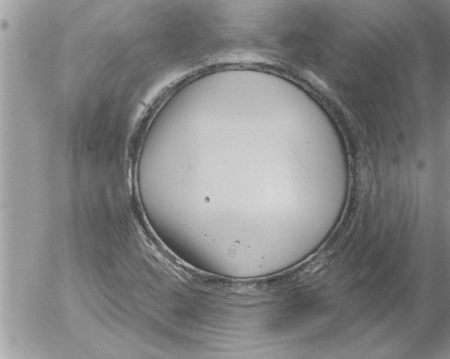 X0000052541408200507291839