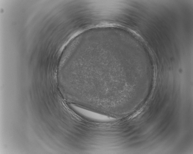 X0000052541409200507291839