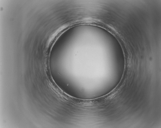 X0000052541410200507291839