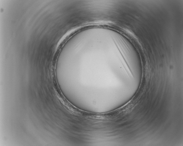 X0000052541412200507291839