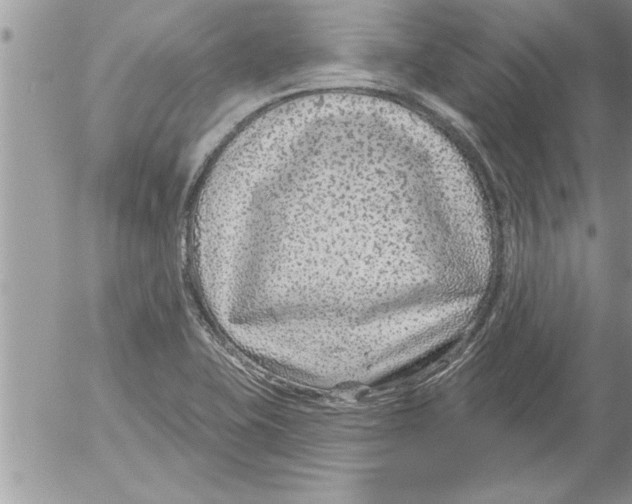 X0000052541415200507291839