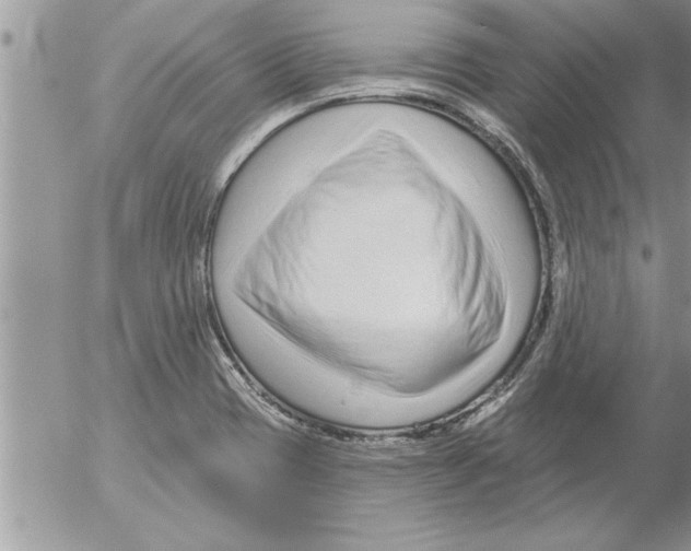 X0000052541417200507291839