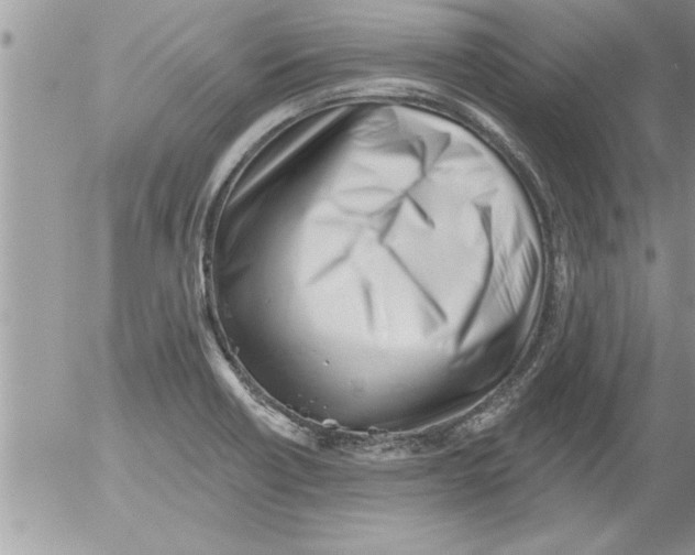 X0000052541418200507291839