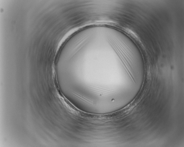 X0000052541420200507291839