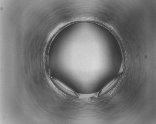 X0000052541422200507291839